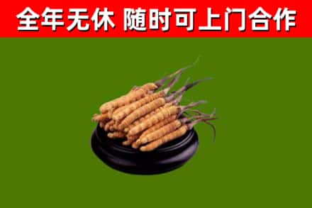 云溪区烟酒回收冬虫夏草.jpg